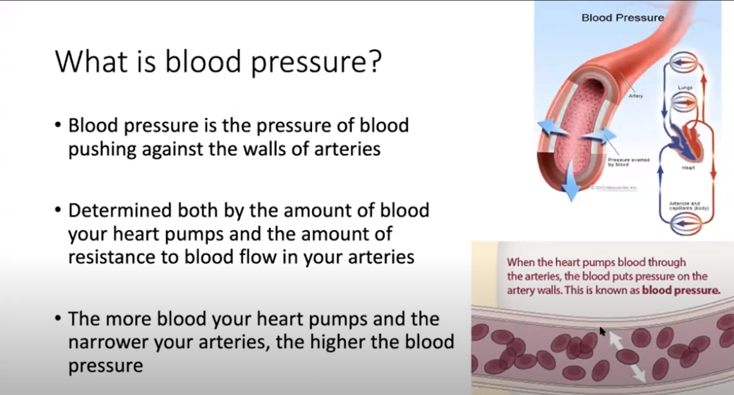 The Doctor Is In (Virtually!): Hypertension & Blood Pressure